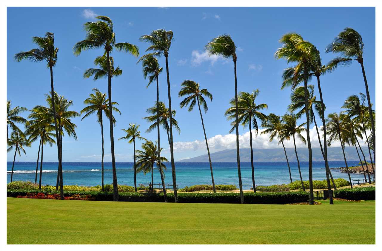 22 Coconut Grove Ln, 