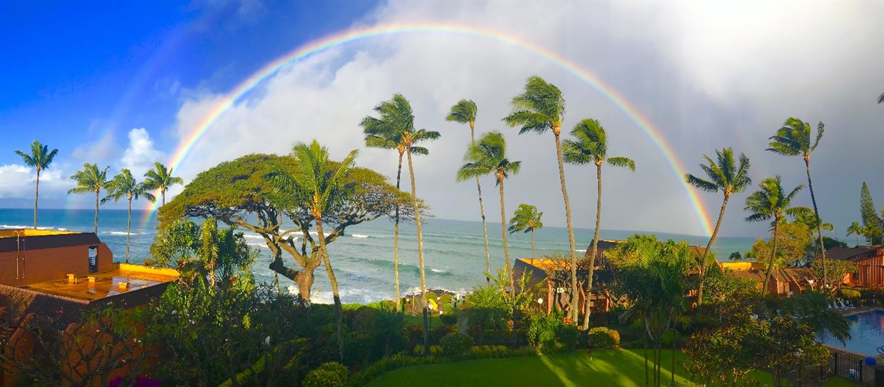 3959 Lower Honoapiilani Rd, 