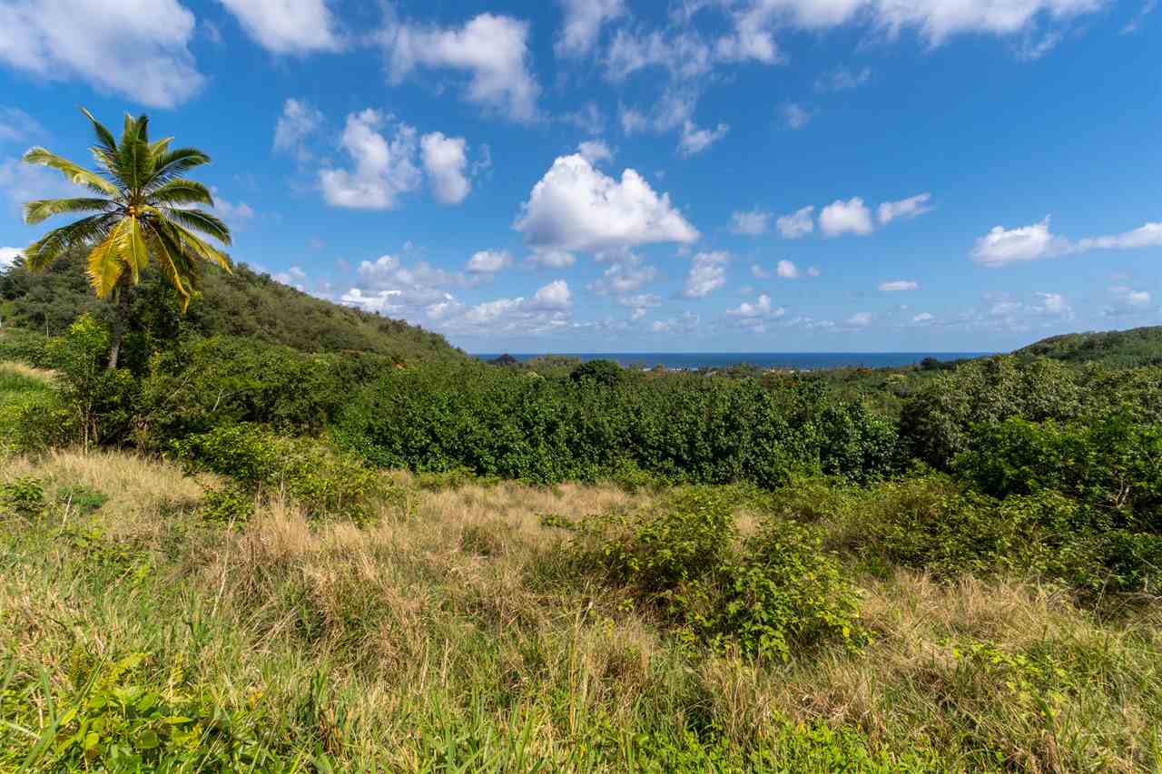 Mile 50 Hana Hwy, Hana, HI, 96713  