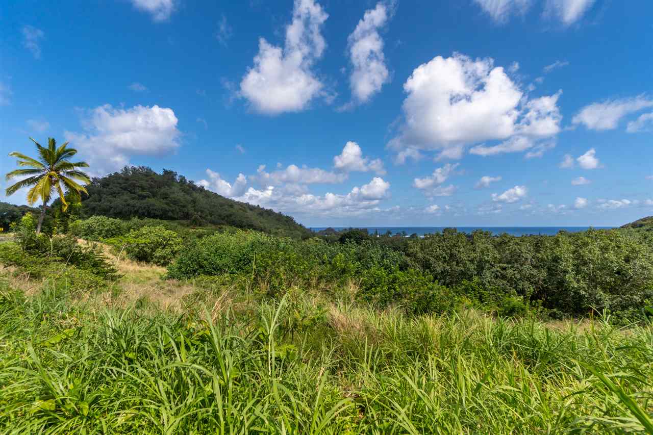 Mile 50 Hana Hwy, Hana, HI, 96713  