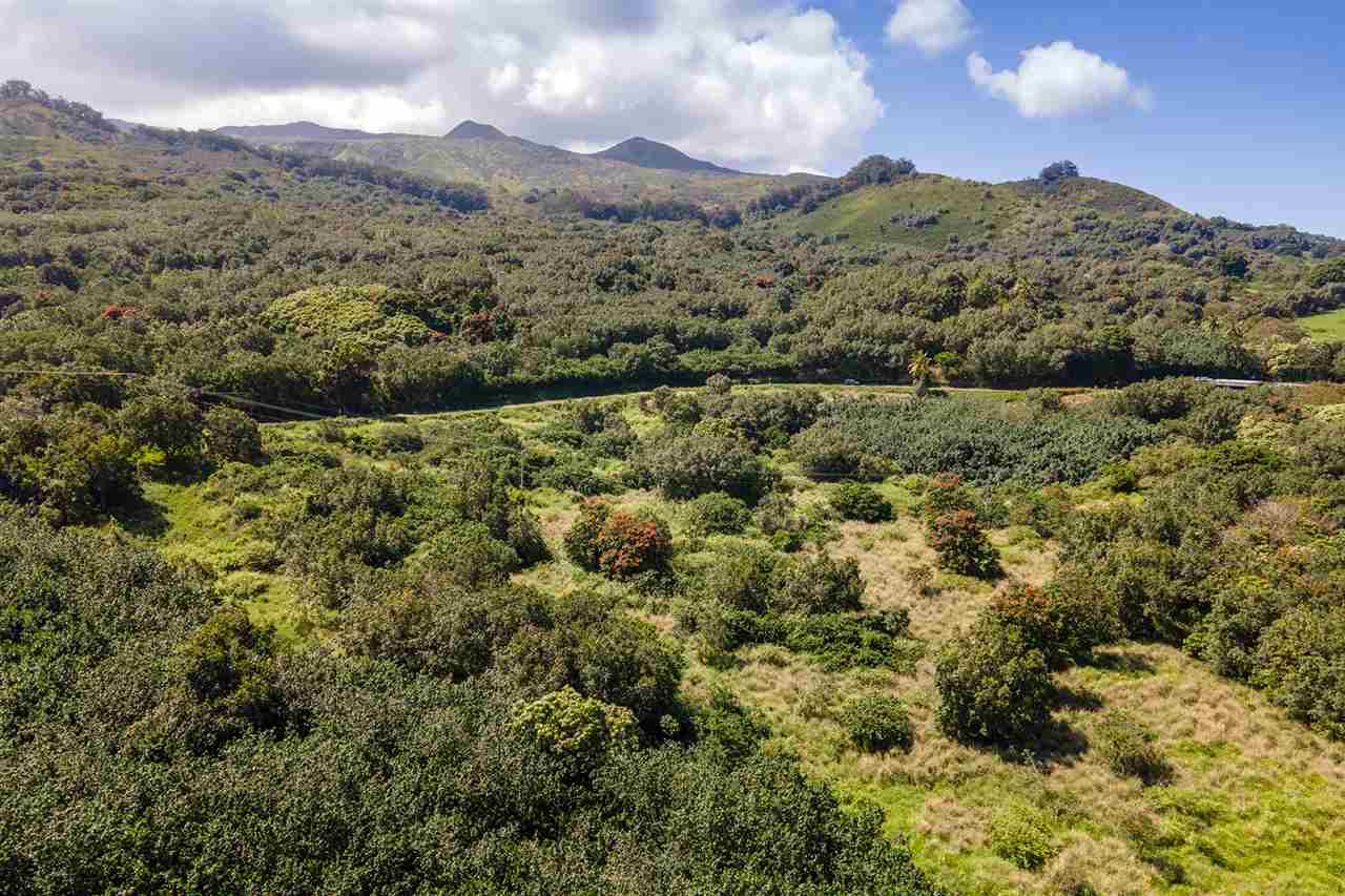 Mile 50 Hana Hwy, Hana, HI, 96713  