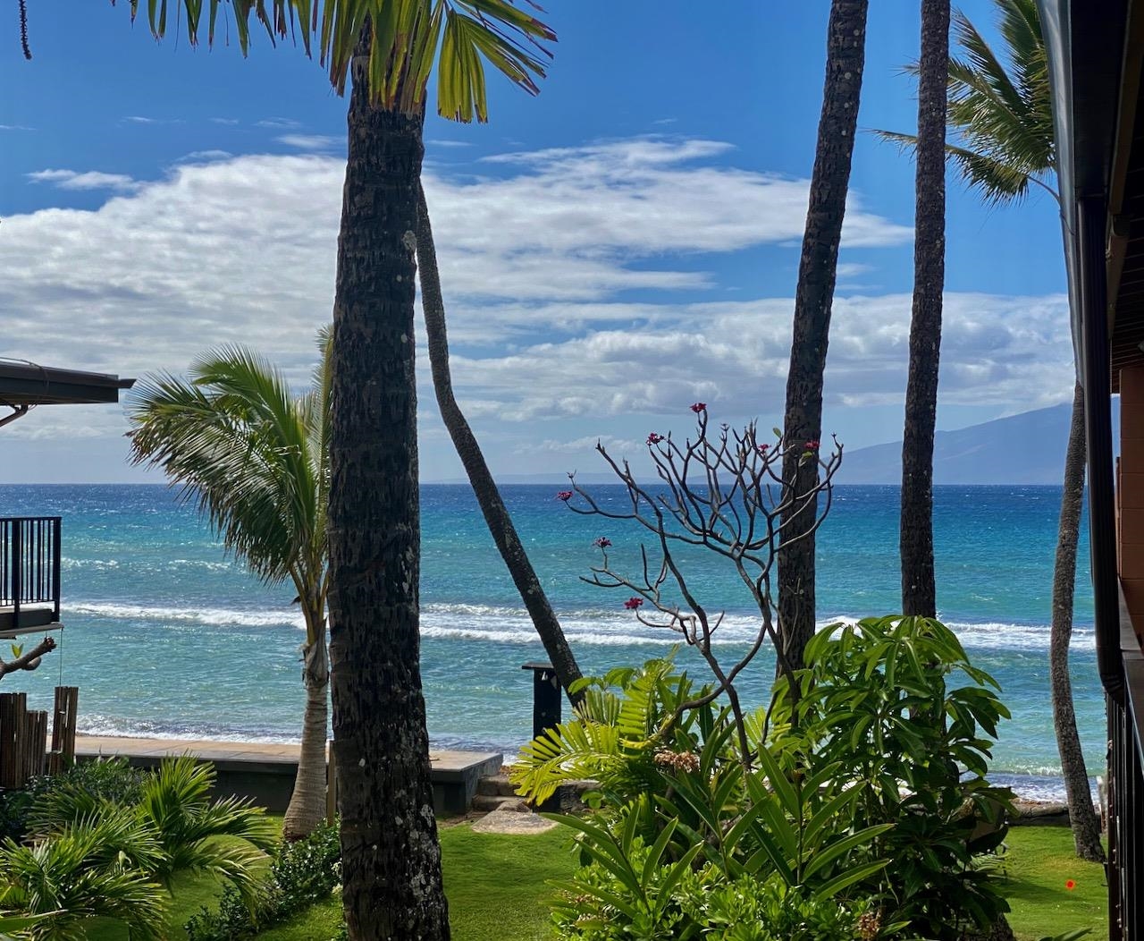 3559 Lower Honoapiilani Rd, 