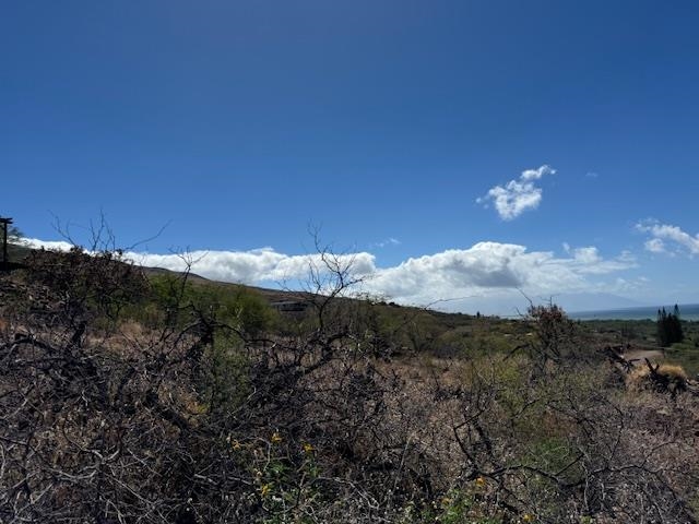 Image 13