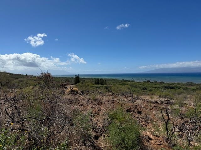 Image 15