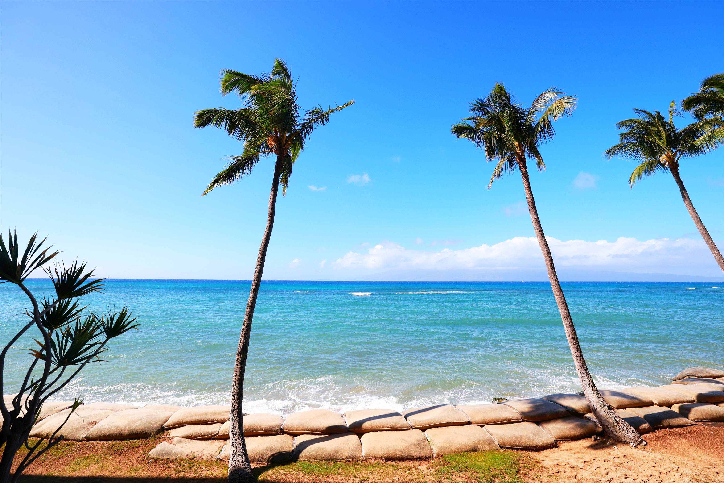 4327 Lower Honoapiilani Rd Unit: 208