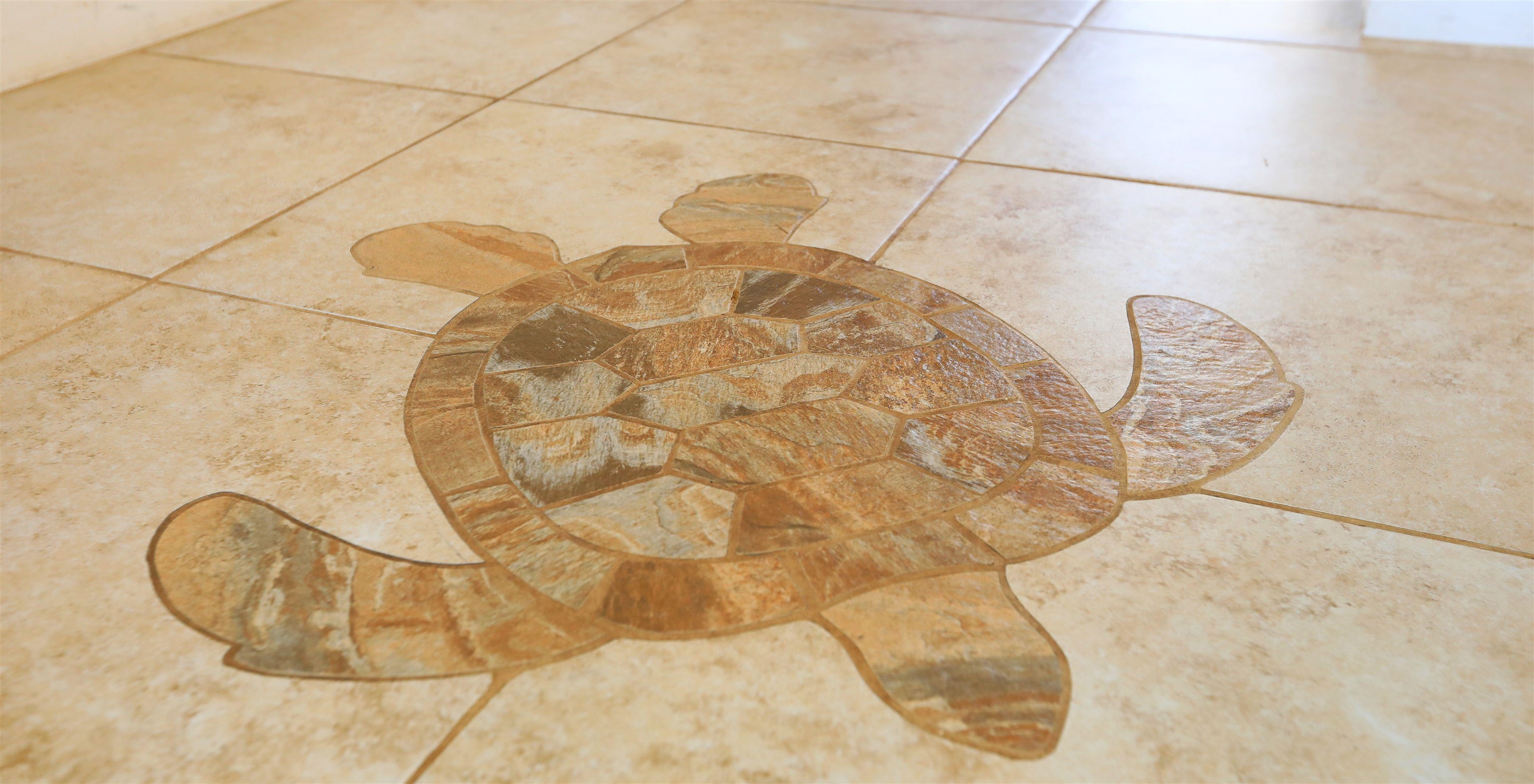 Image 31
