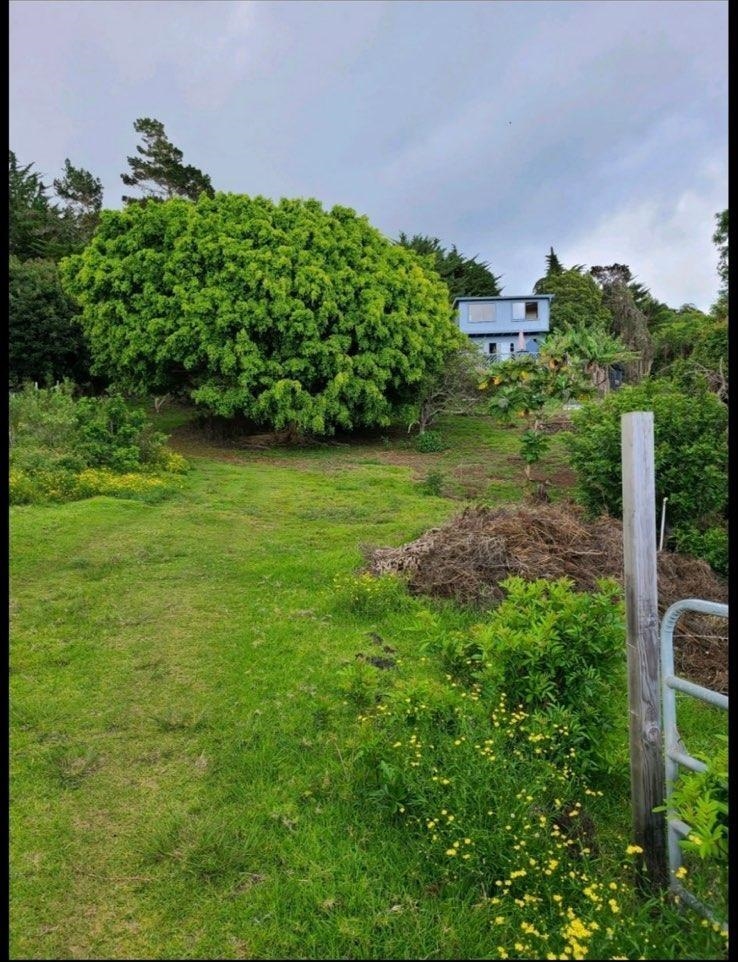 Image 22