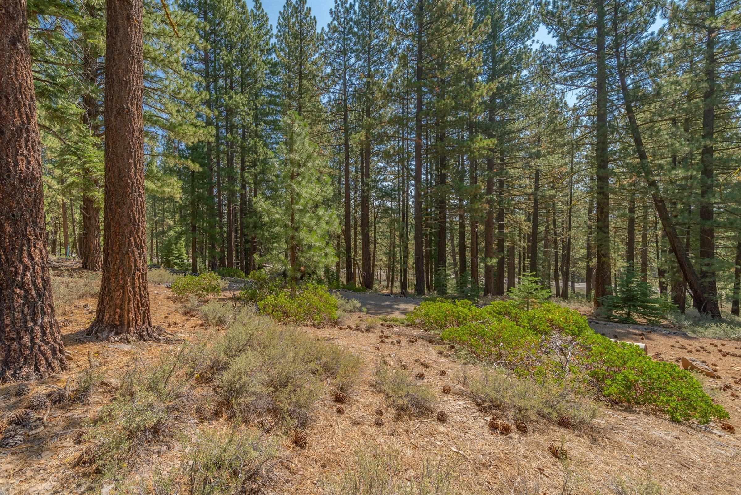 11523 China Camp Road