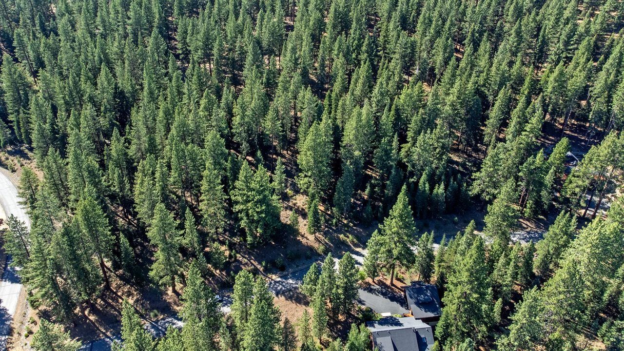 12062 Saddleback Drive