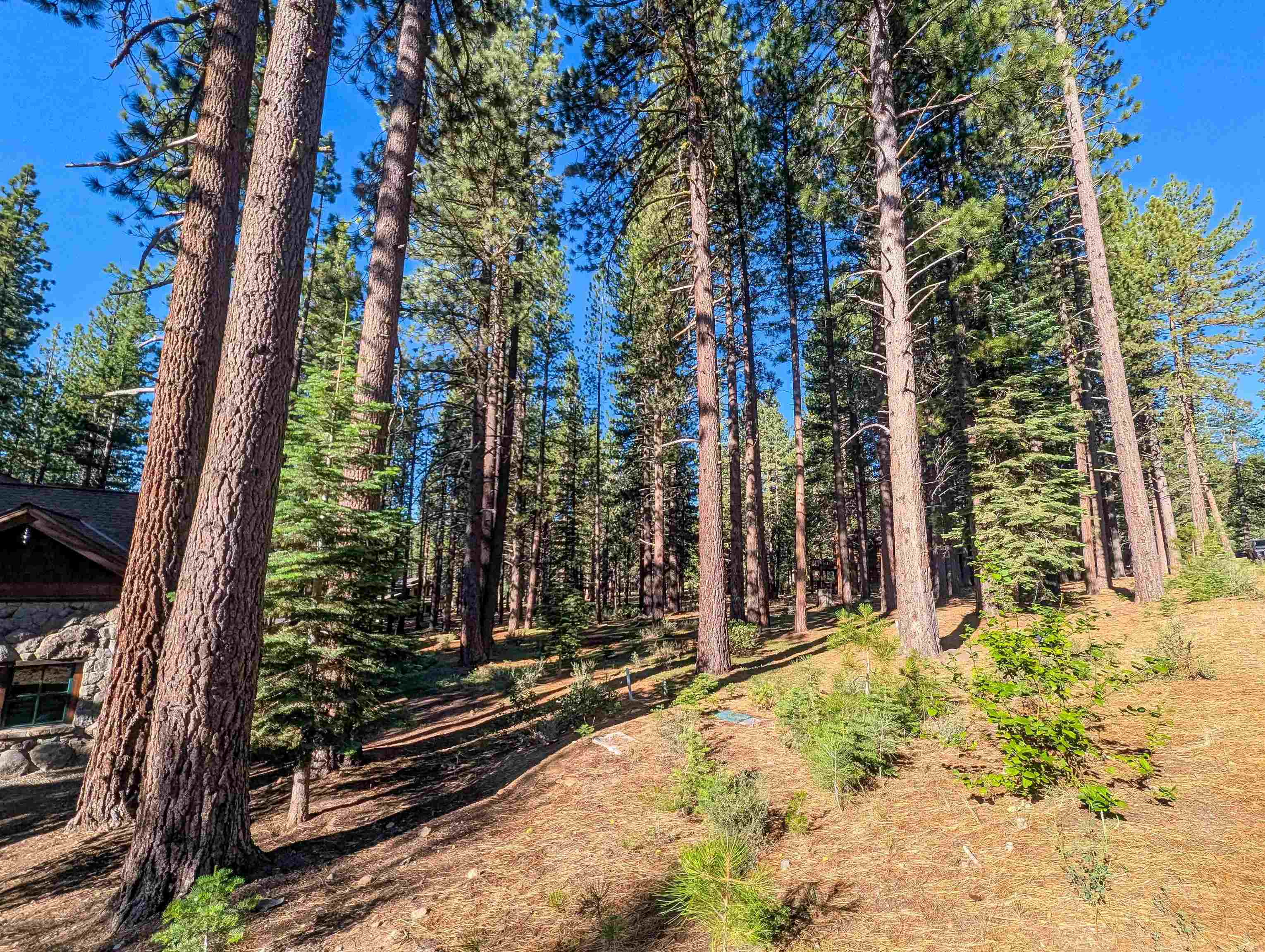 11561 Bottcher Loop