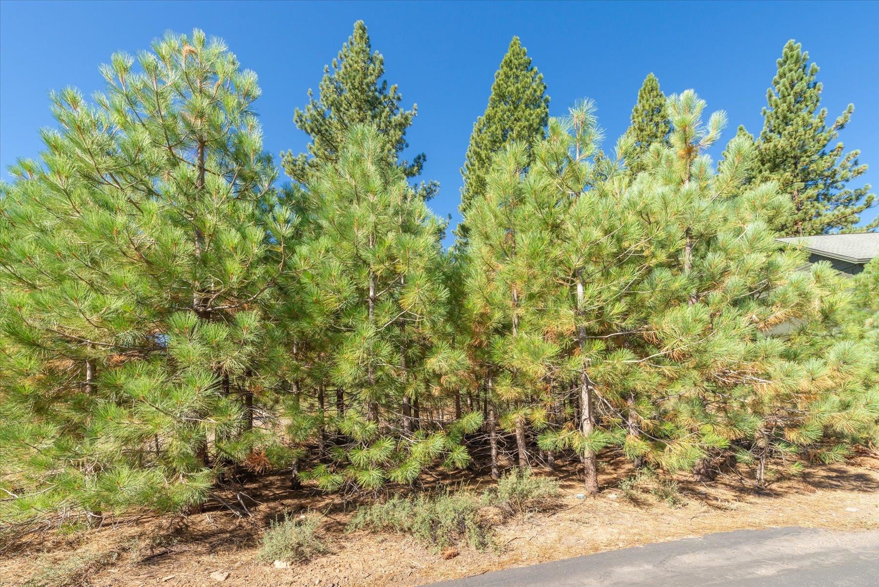 11304 Wolverine Circle