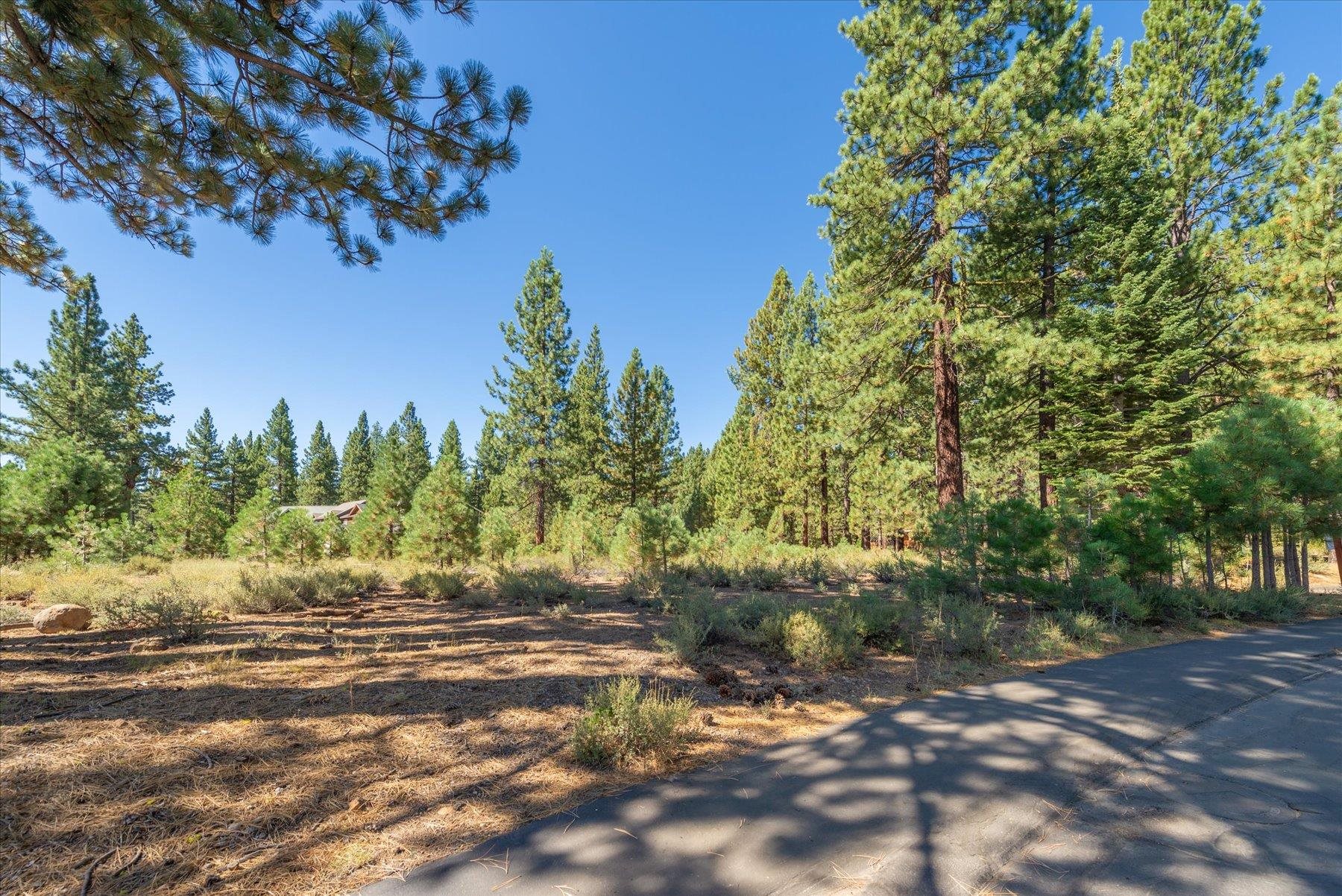 11259 Saddleback Drive