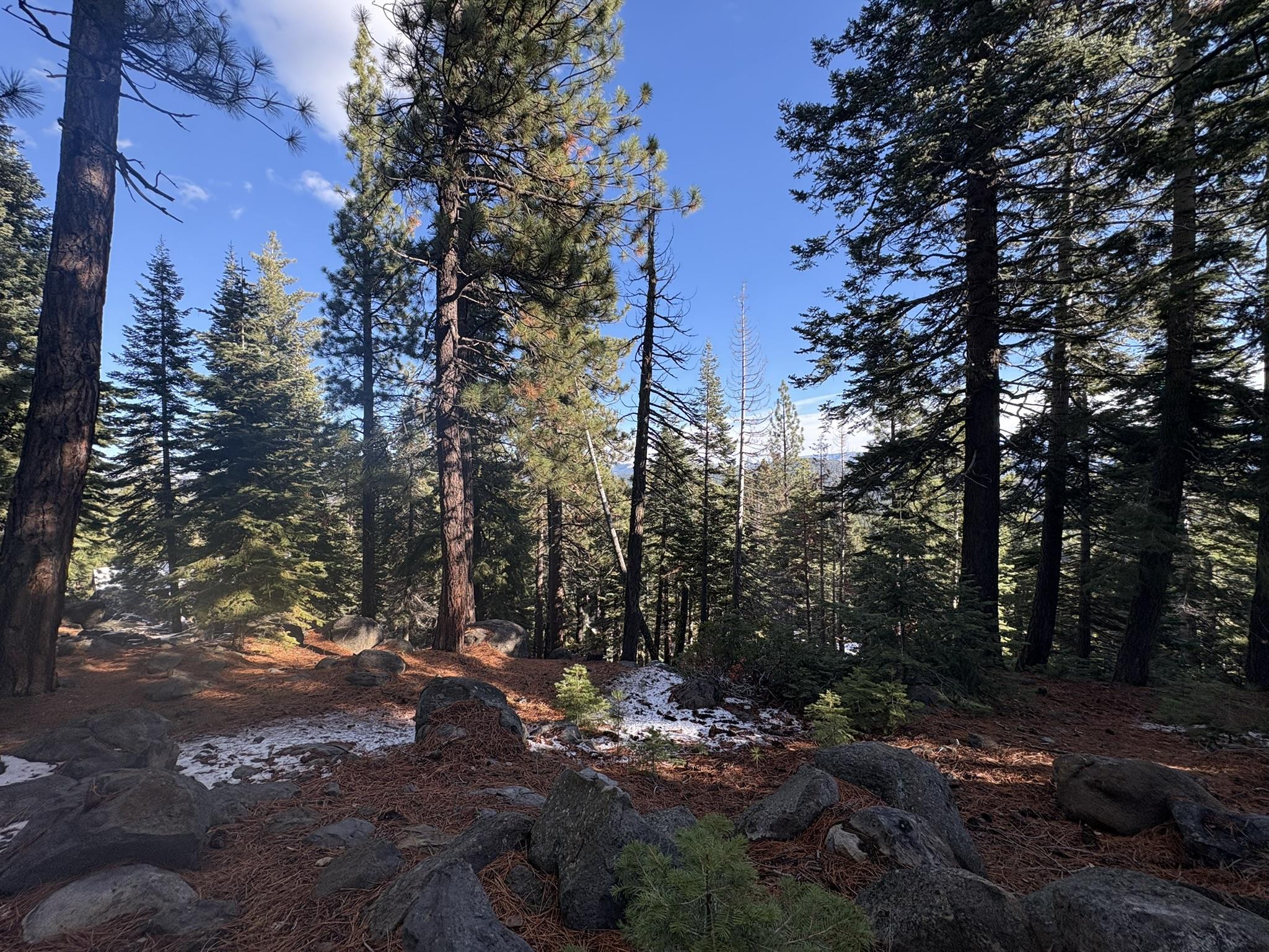 10574 Whitetail Court