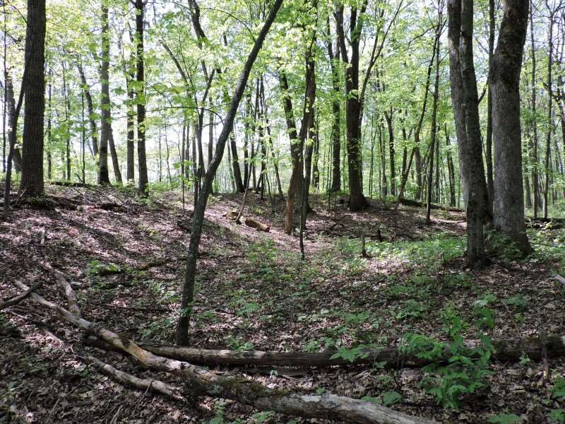 4781 TURKEY TRAIL, Amherst, Wisconsin 54406, ,Land,For Sale,4781 TURKEY TRAIL,1503119