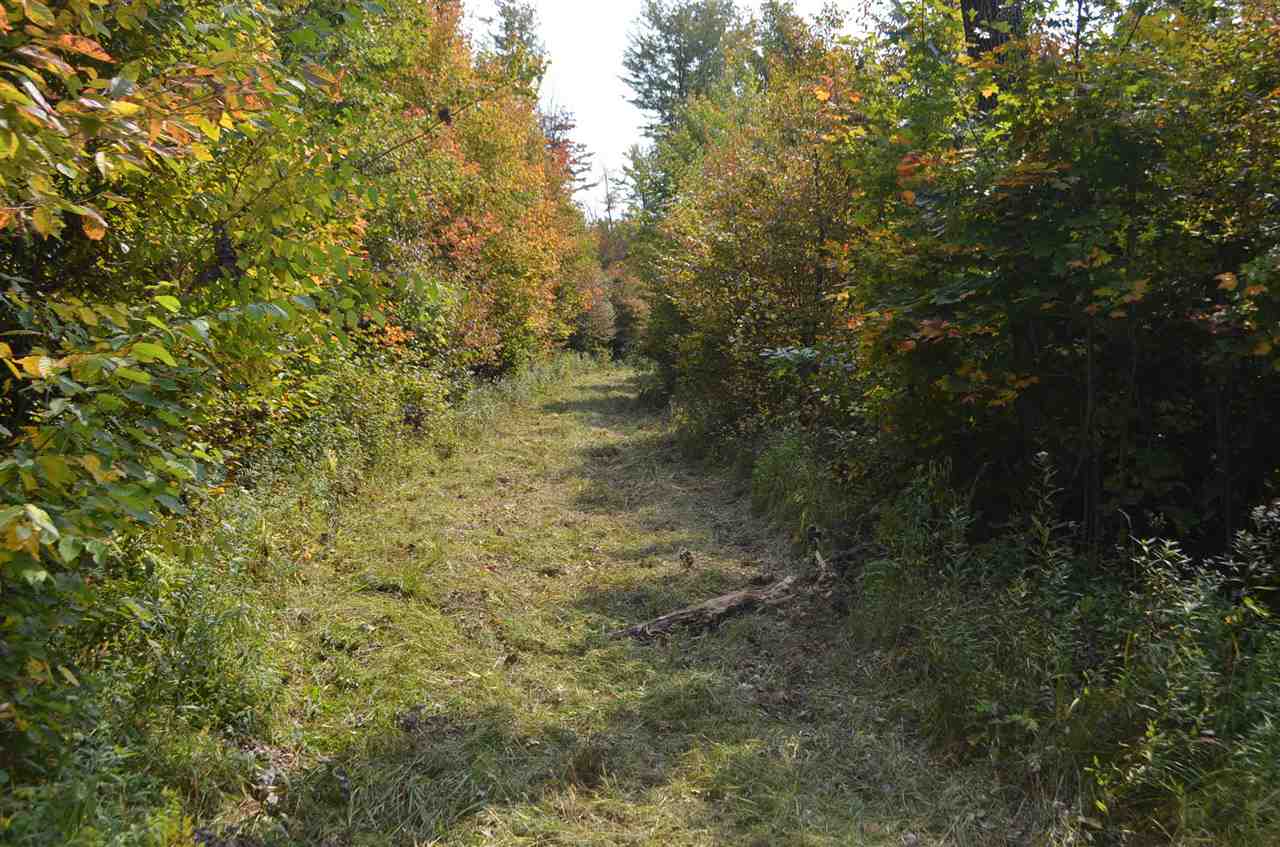 0 PETERSON ROAD, Gleason, Wisconsin 54435, ,Land,For Sale,0 PETERSON ROAD,1801710