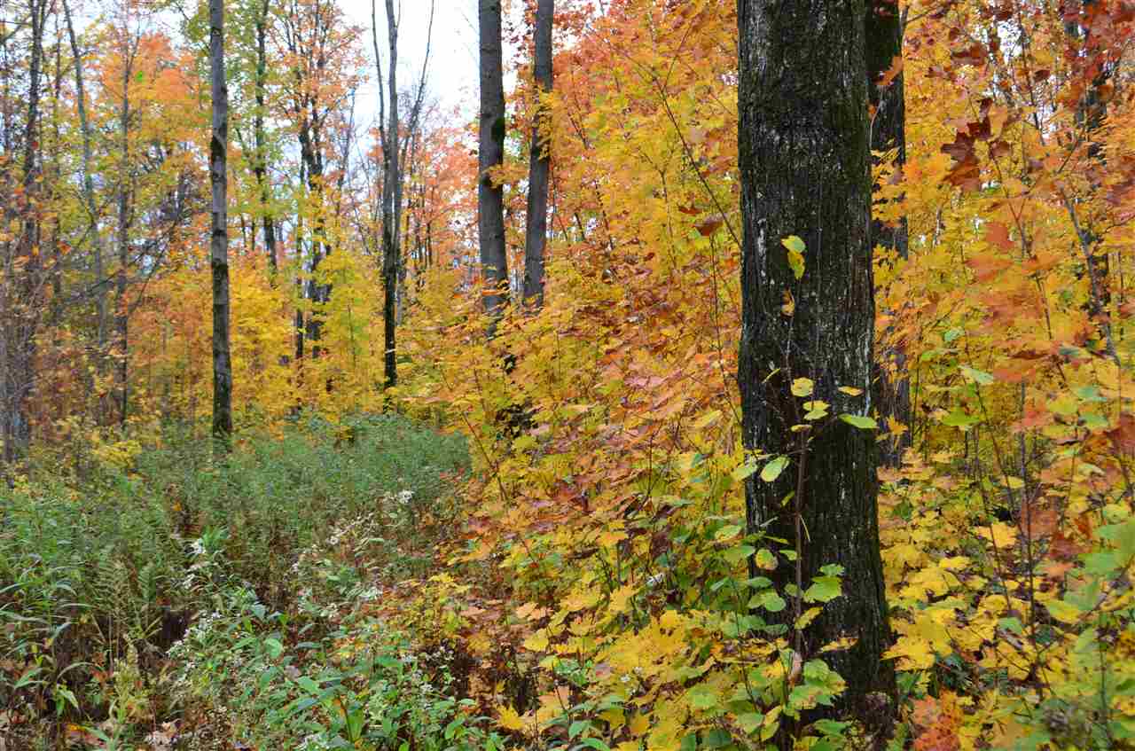 0 PETERSON ROAD, Gleason, Wisconsin 54435, ,Land,For Sale,0 PETERSON ROAD,1801710
