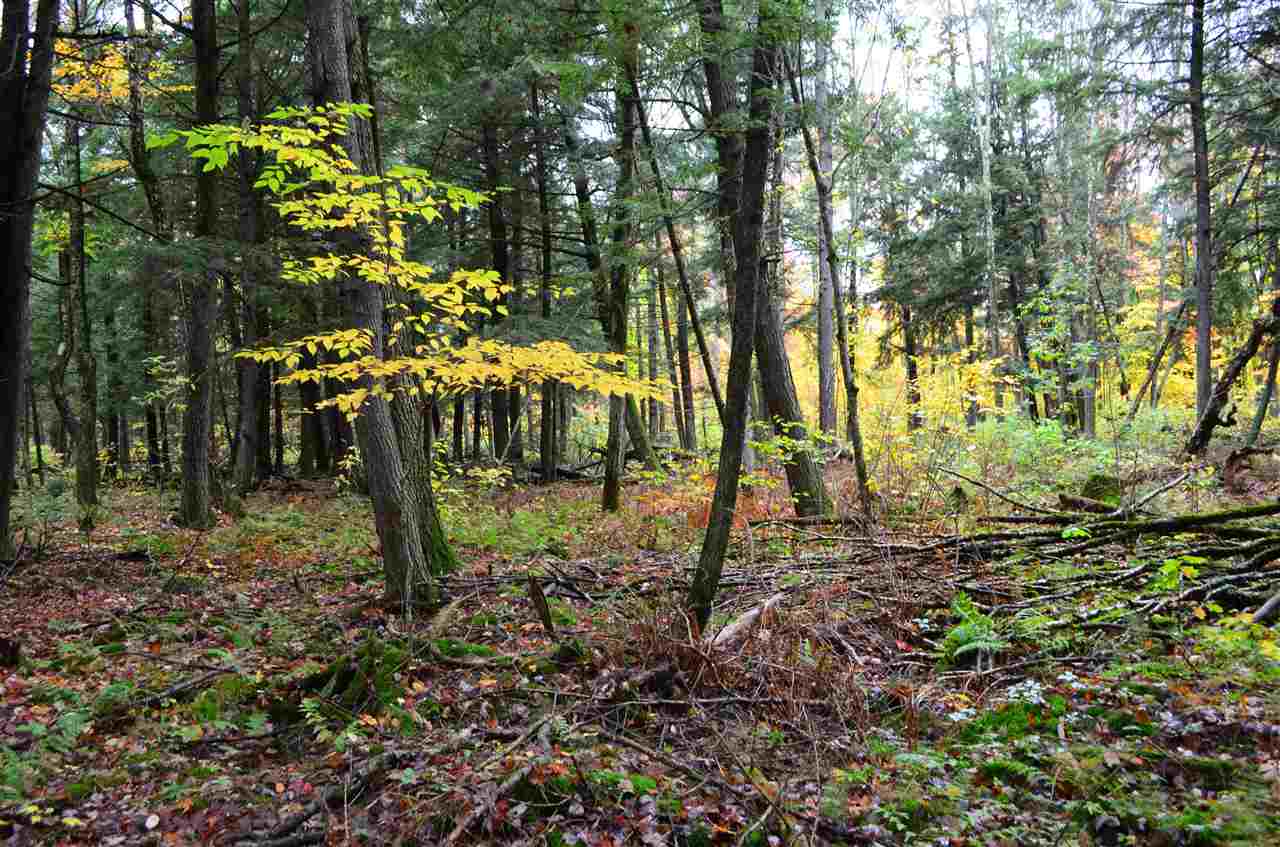 0 PETERSON ROAD, Gleason, Wisconsin 54435, ,Land,For Sale,0 PETERSON ROAD,1801710