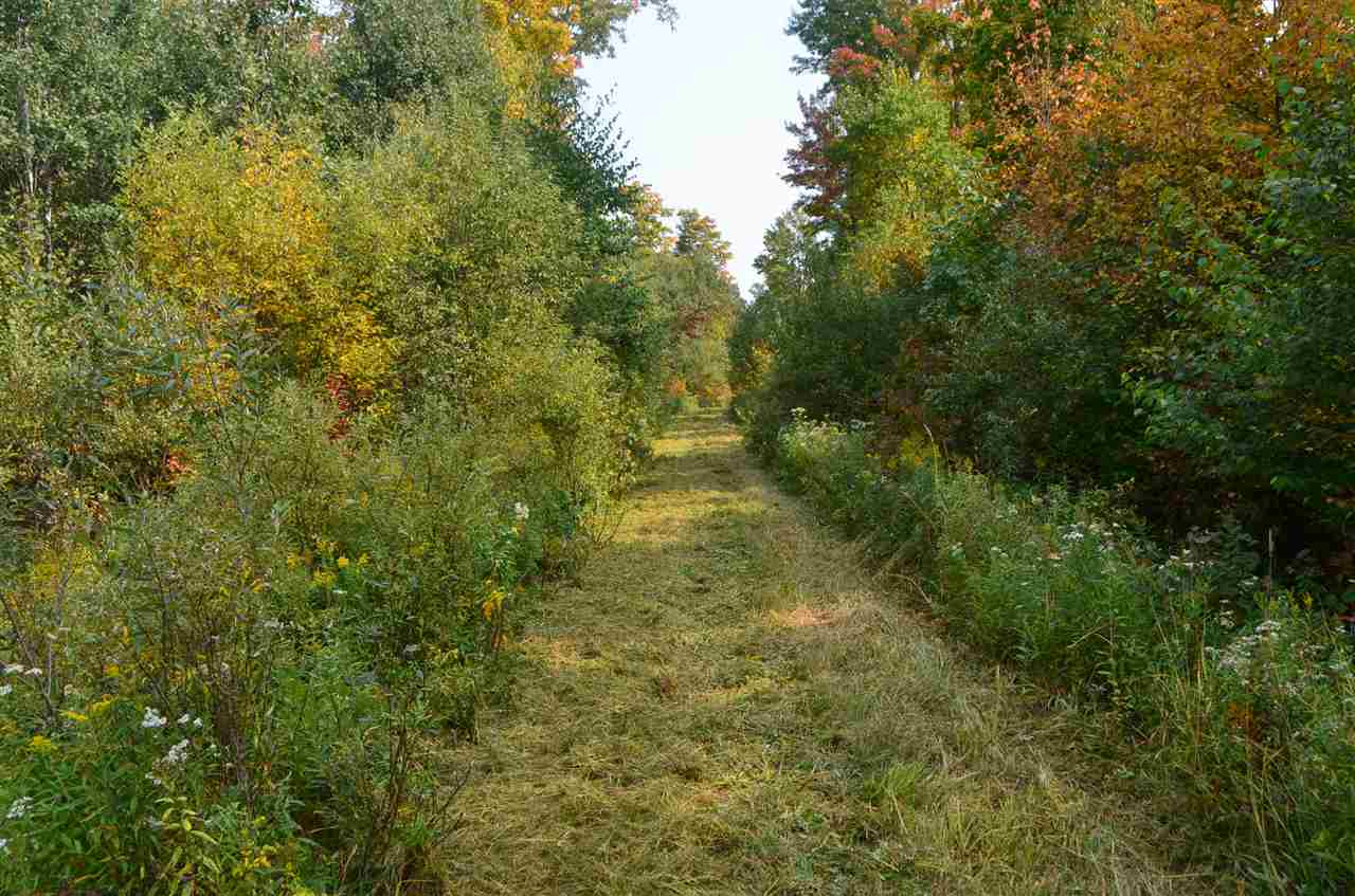 0 PETERSON ROAD, Gleason, Wisconsin 54435, ,Land,For Sale,0 PETERSON ROAD,1801710