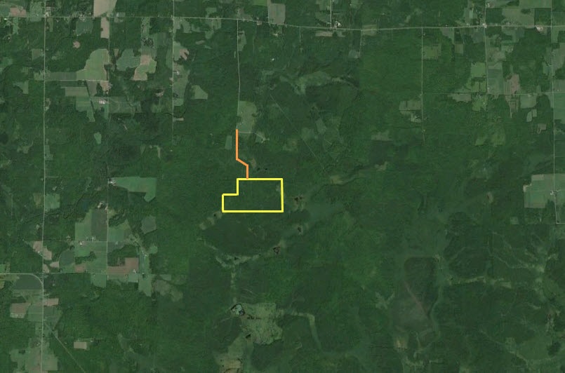 0 PETERSON ROAD, Gleason, Wisconsin 54435, ,Land,For Sale,0 PETERSON ROAD,1801710