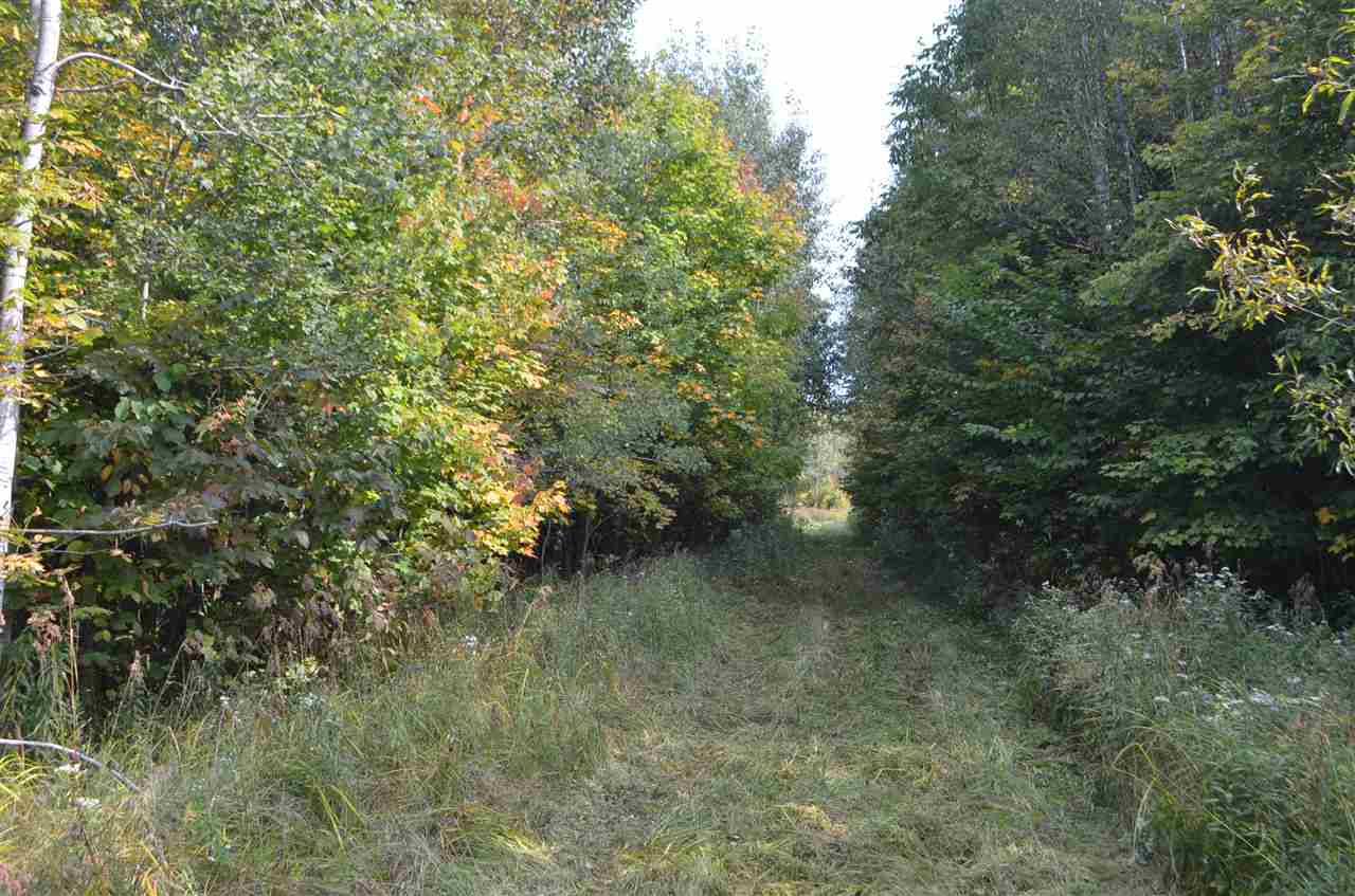 0 PETERSON ROAD, Gleason, Wisconsin 54435, ,Land,For Sale,0 PETERSON ROAD,1801710
