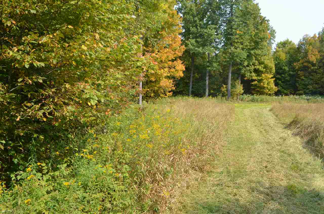 0 PETERSON ROAD, Gleason, Wisconsin 54435, ,Land,For Sale,0 PETERSON ROAD,1801710