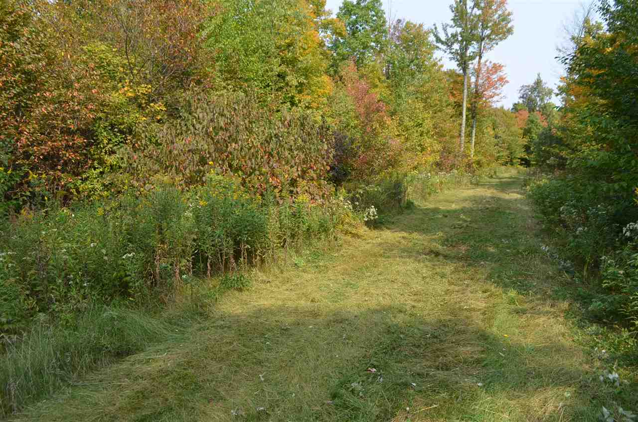 0 PETERSON ROAD, Gleason, Wisconsin 54435, ,Land,For Sale,0 PETERSON ROAD,1801710