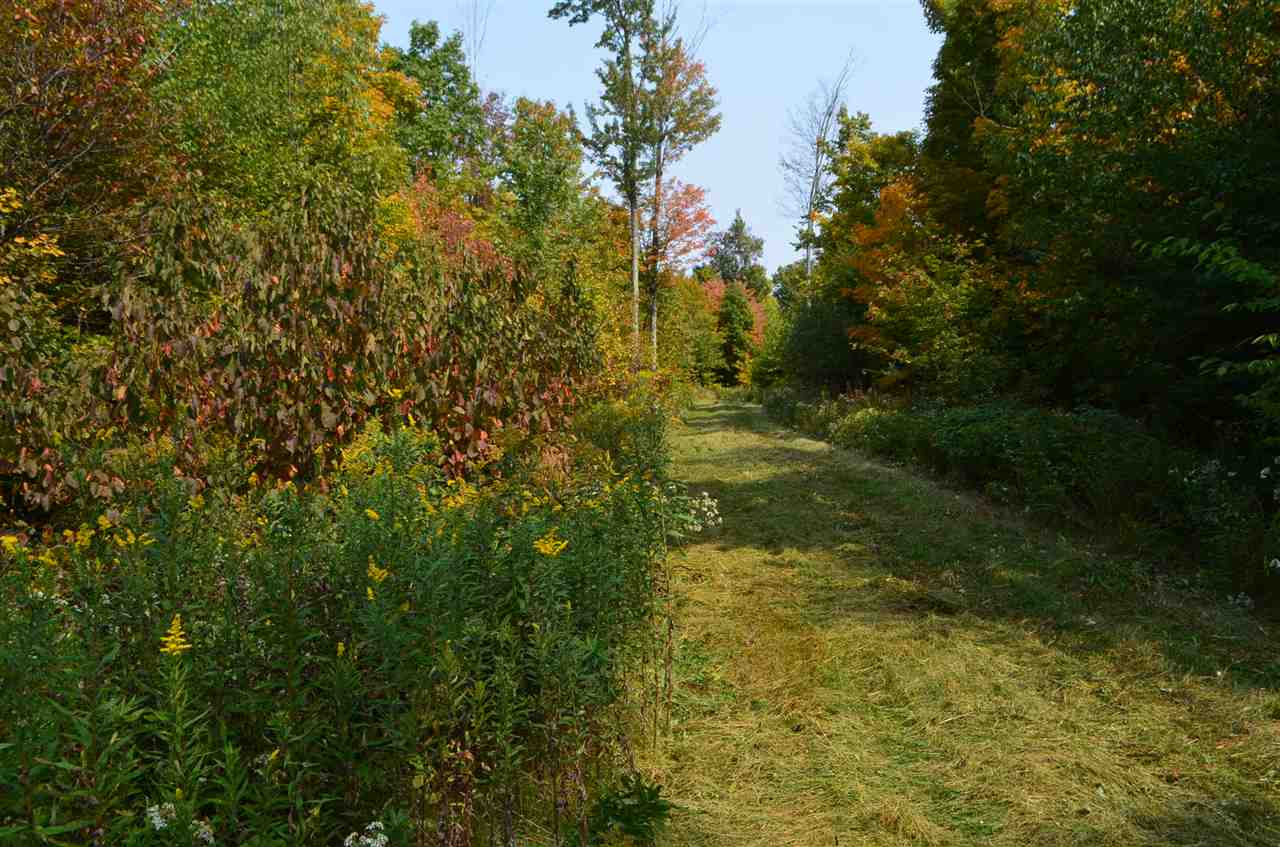 0 PETERSON ROAD, Gleason, Wisconsin 54435, ,Land,For Sale,0 PETERSON ROAD,1801710
