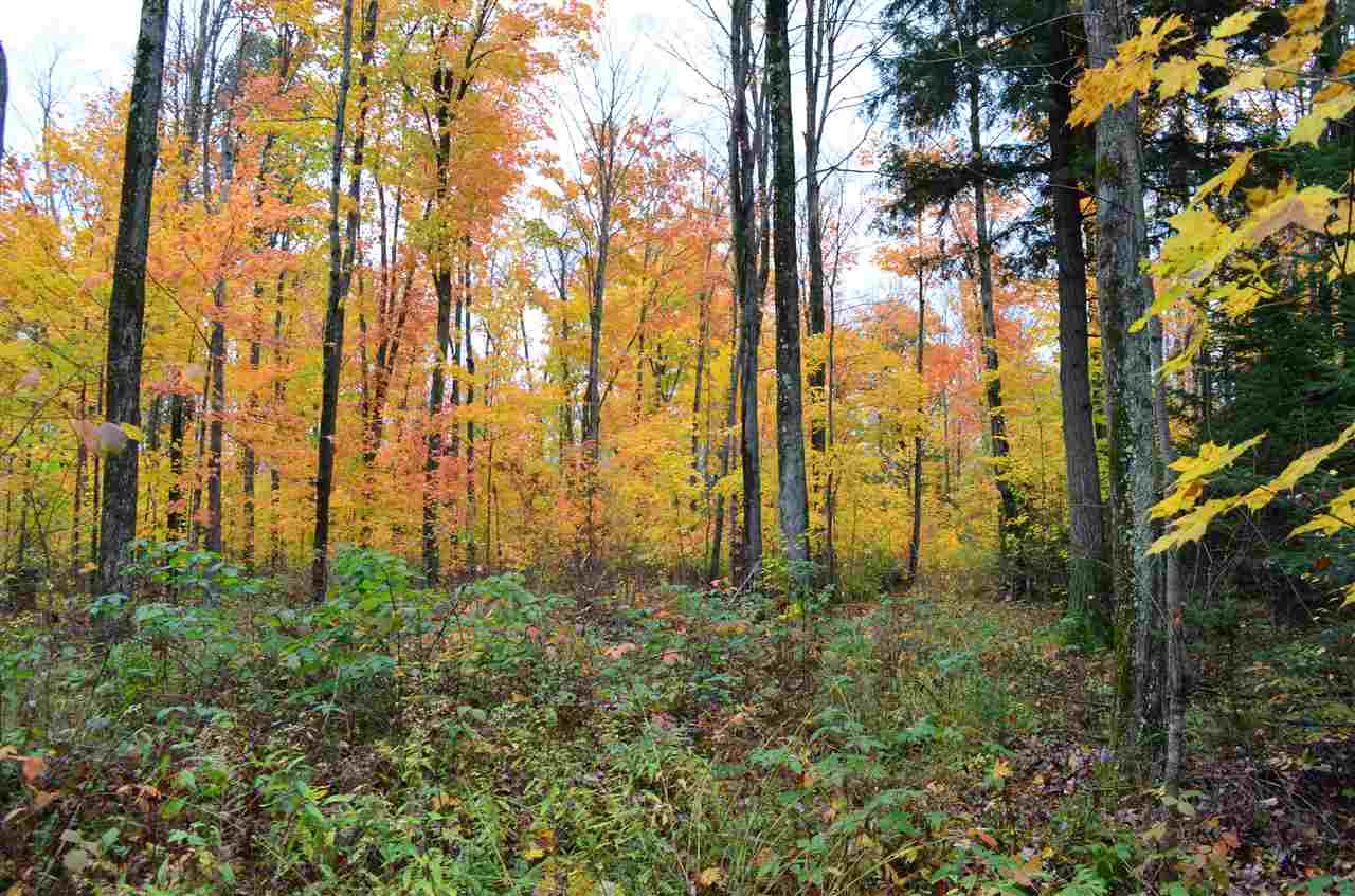 0 PETERSON ROAD, Gleason, Wisconsin 54435, ,Land,For Sale,0 PETERSON ROAD,1801710