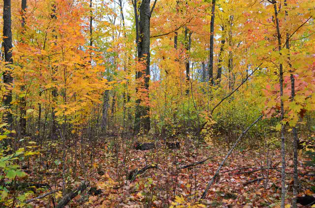 0 PETERSON ROAD, Gleason, Wisconsin 54435, ,Land,For Sale,0 PETERSON ROAD,1801710