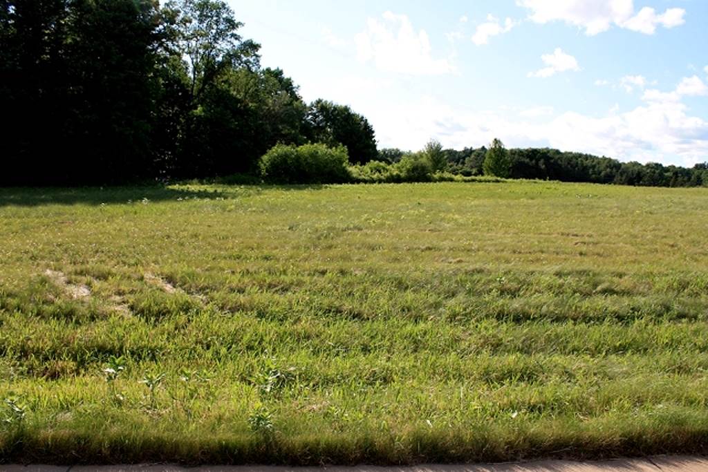 1401 BENT STICK DRIVE, Wausau, Wisconsin 54403, ,Land,For Sale,1401 BENT STICK DRIVE,1801719