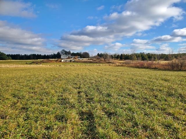 Lot 10 WOODSVIEW ROAD, Marshfield, Wisconsin 54479, ,Land,For Sale,Lot 10 WOODSVIEW ROAD,1805118