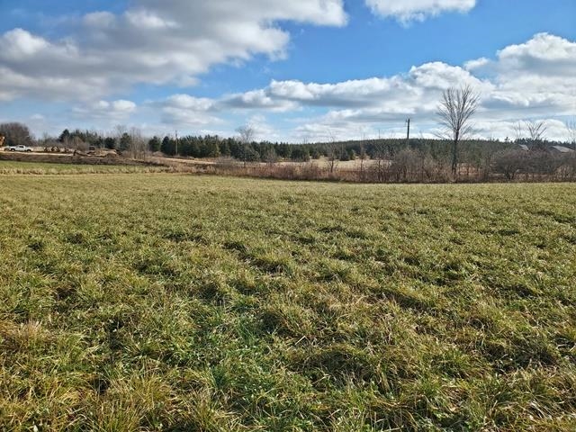 Lot 10 WOODSVIEW ROAD, Marshfield, Wisconsin 54479, ,Land,For Sale,Lot 10 WOODSVIEW ROAD,1805118