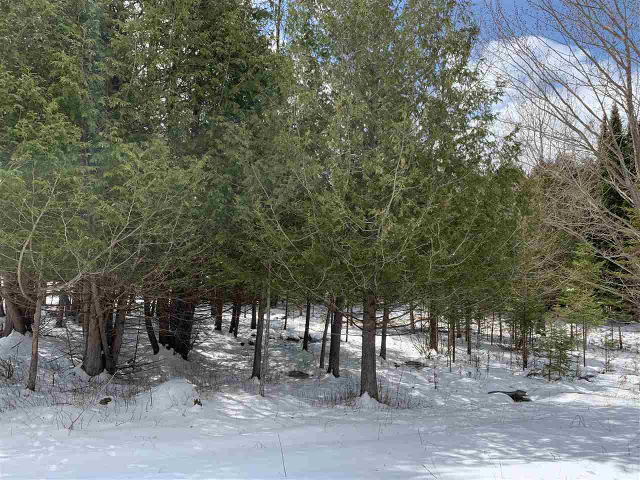 Lot 19 KEEGAN COURT, Wittenberg, Wisconsin 54499, ,Land,For Sale,Lot 19 KEEGAN COURT,22001750