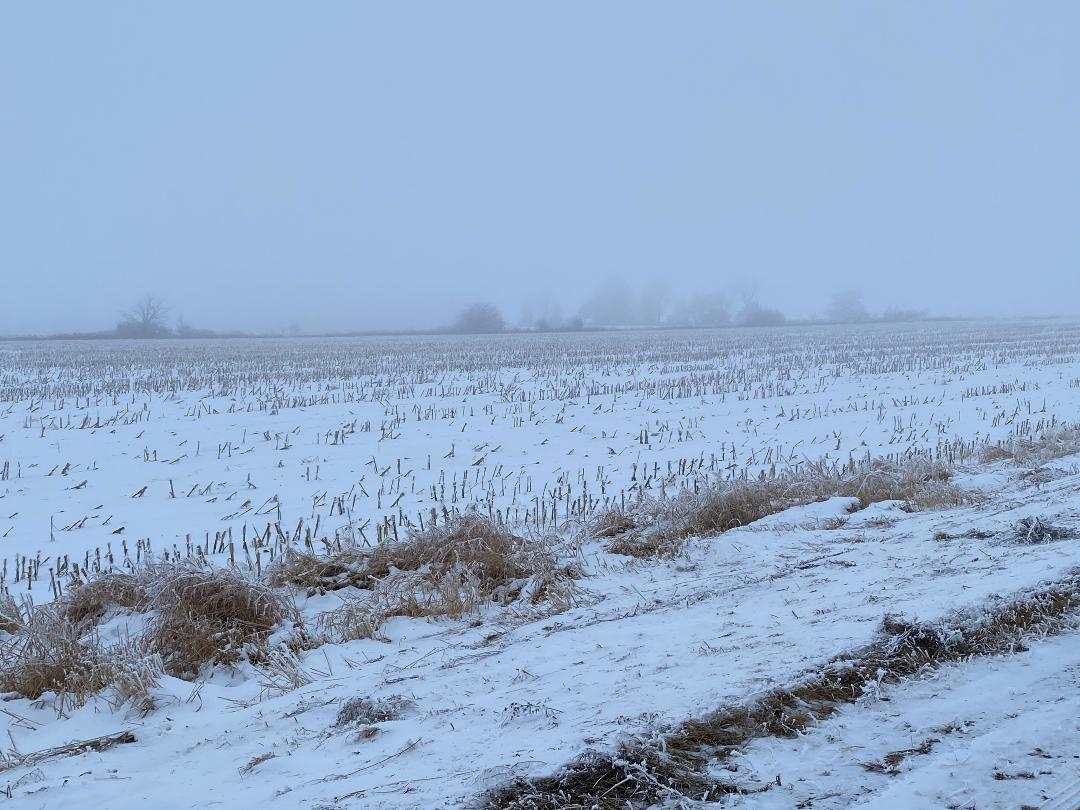 Lot 9 MARSHFIELD ROAD, Marshfield, Wisconsin 54449, ,Land,For Sale,Lot 9 MARSHFIELD ROAD,22004061