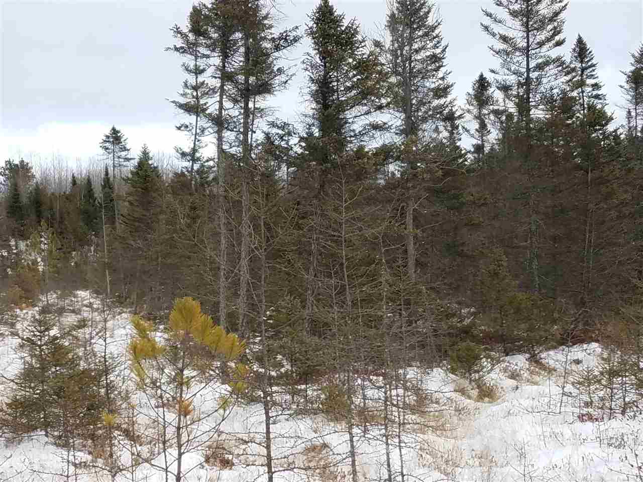 Land For Sale Price 39,700 22100107 Success Realty