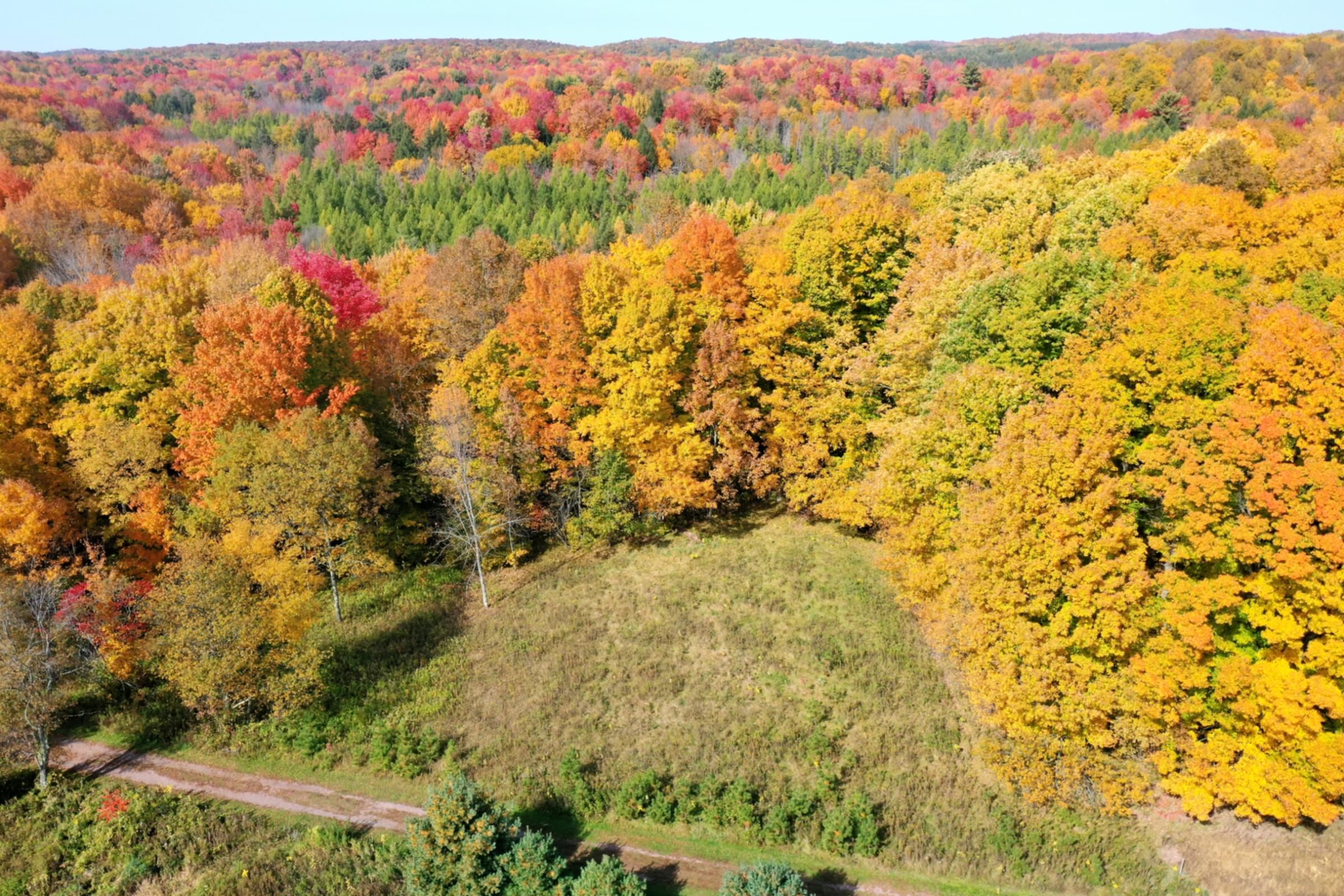 Lots and Land for sale in Withee, Wisconsin, 22102103