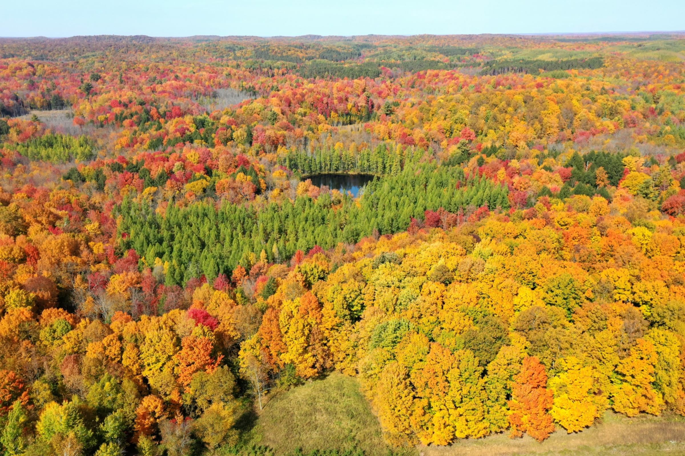 Lots and Land for sale in Withee, Wisconsin, 22102103