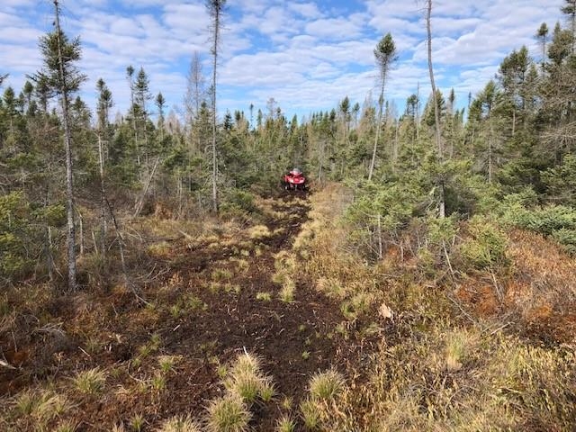 SWAMP ROAD, Tomahawk, Wisconsin 54487, ,Land,For Sale,SWAMP ROAD,22102290