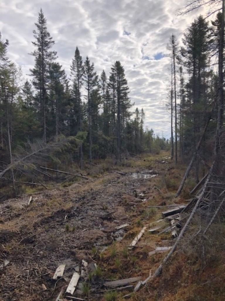 SWAMP ROAD, Tomahawk, Wisconsin 54487, ,Land,For Sale,SWAMP ROAD,22102290