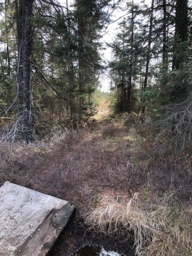 SWAMP ROAD, Tomahawk, Wisconsin 54487, ,Land,For Sale,SWAMP ROAD,22102290