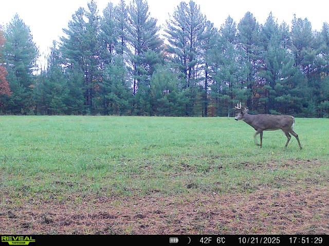 178375 MISSION LAKE ROAD, Hatley, Wisconsin 54440, ,Land,For Sale,178375 MISSION LAKE ROAD,22104480