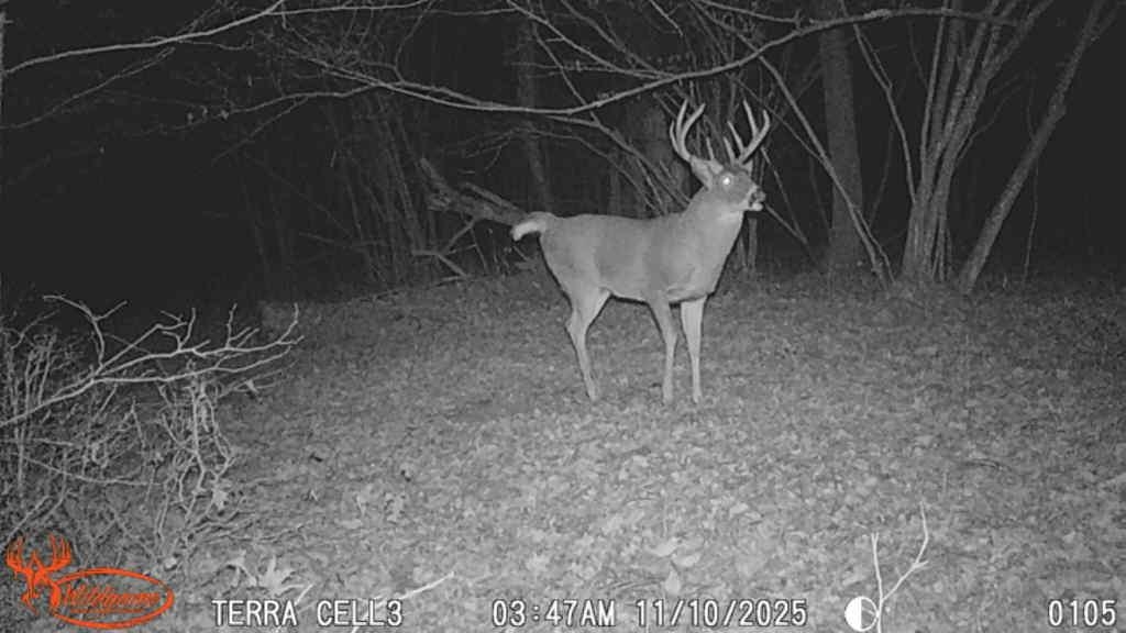 178375 MISSION LAKE ROAD, Hatley, Wisconsin 54440, ,Land,For Sale,178375 MISSION LAKE ROAD,22104480