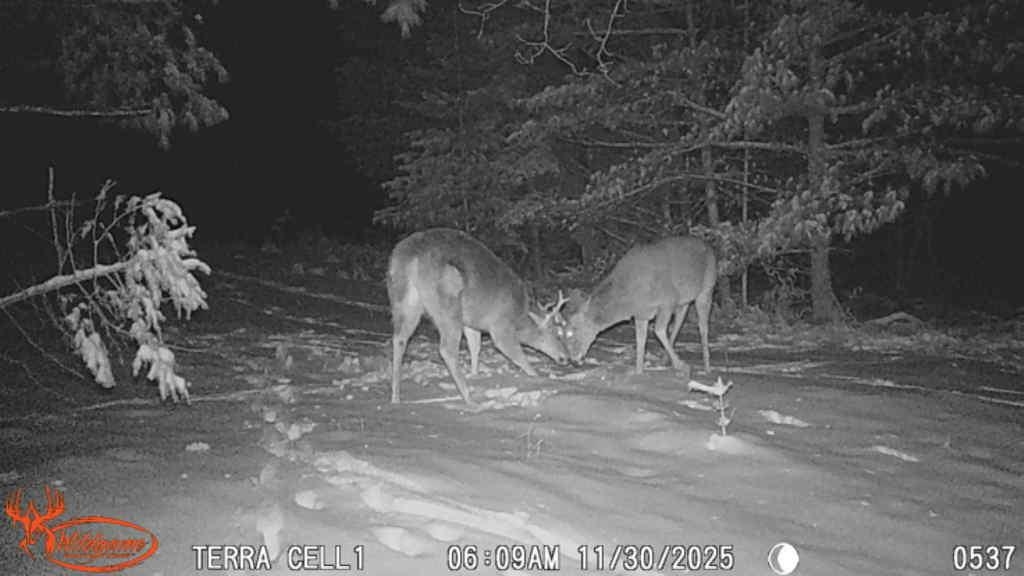 178375 MISSION LAKE ROAD, Hatley, Wisconsin 54440, ,Land,For Sale,178375 MISSION LAKE ROAD,22104480