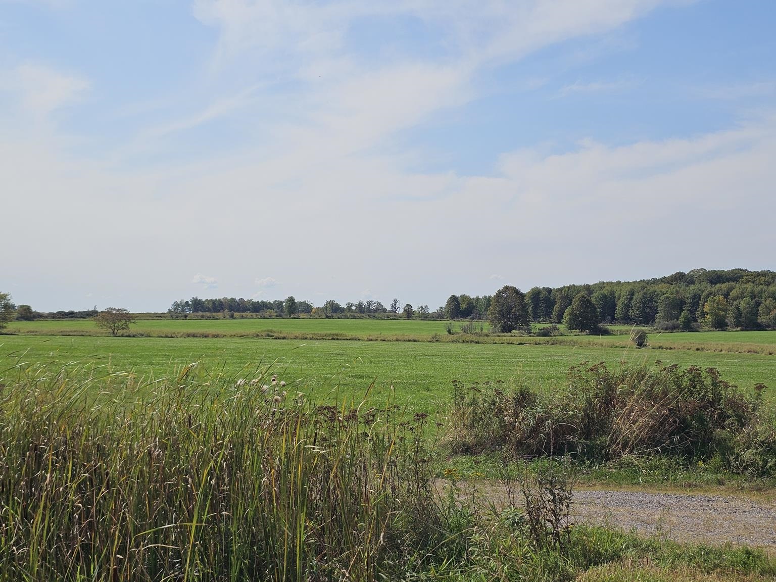 10477 COUNTY ROAD A, Marshfield, Wisconsin 54449, ,Commercial/industrial,For Sale,10477 COUNTY ROAD A,22104685