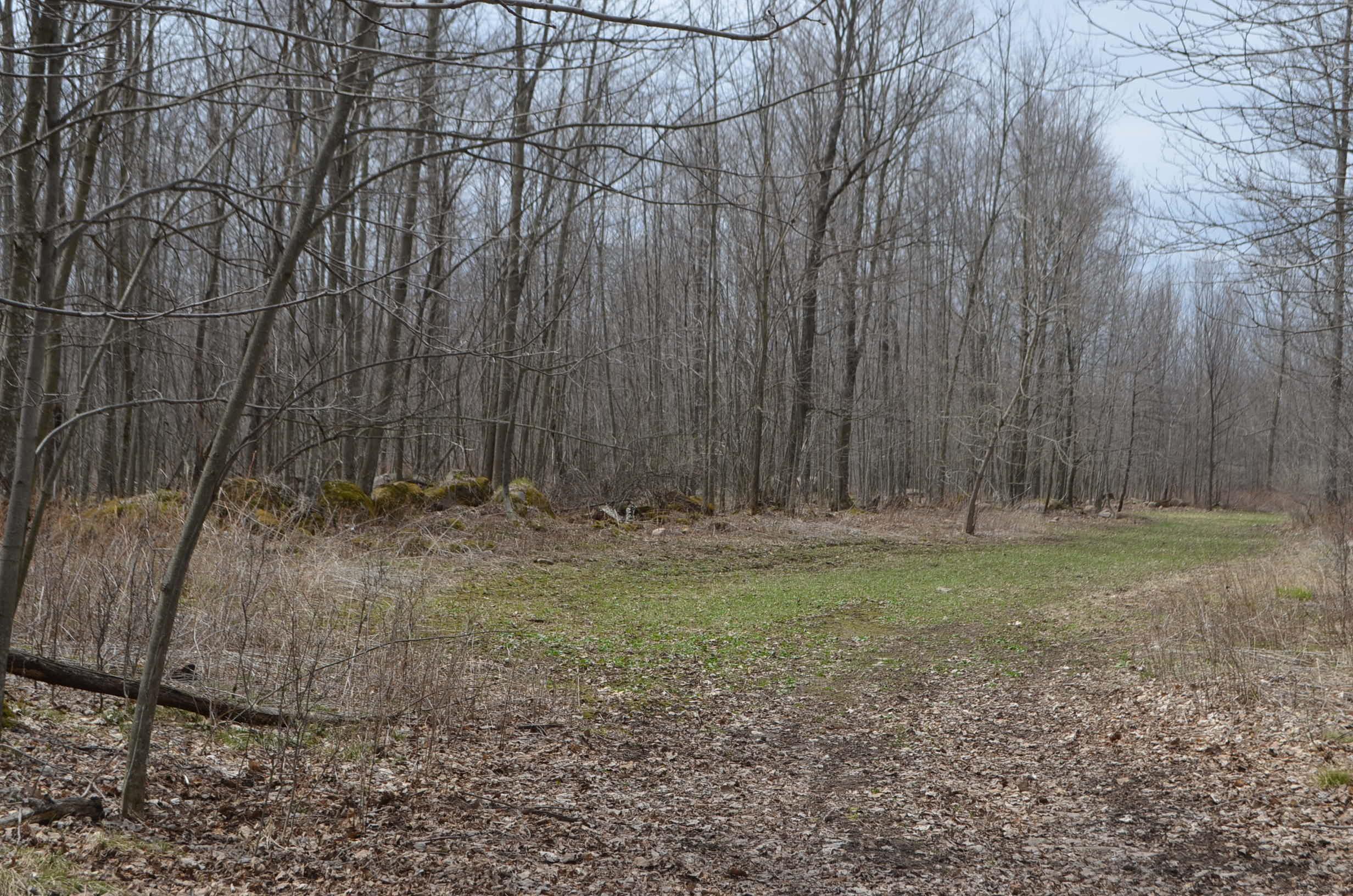 0 BEETLE CREEK ROAD, Tigerton, Wisconsin 54486, ,Land,For Sale,0 BEETLE CREEK ROAD,22202013