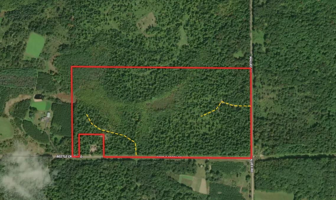 0 BEETLE CREEK ROAD, Tigerton, Wisconsin 54486, ,Land,For Sale,0 BEETLE CREEK ROAD,22202013