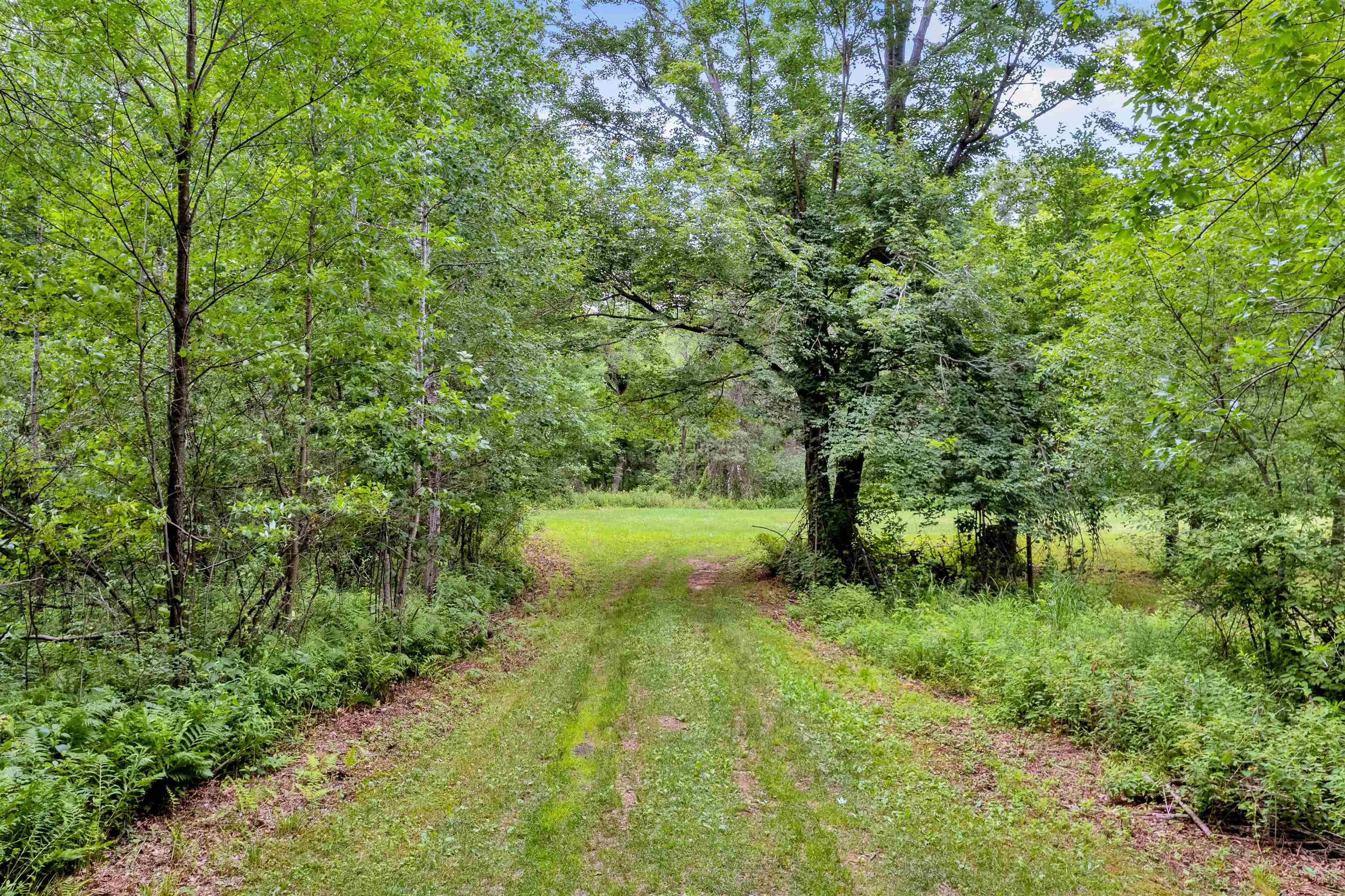 16 acres mol OLE RIVER ROAD, Stevens Point, Wisconsin 54481, ,Land,For Sale,16 acres mol OLE RIVER ROAD,22203505