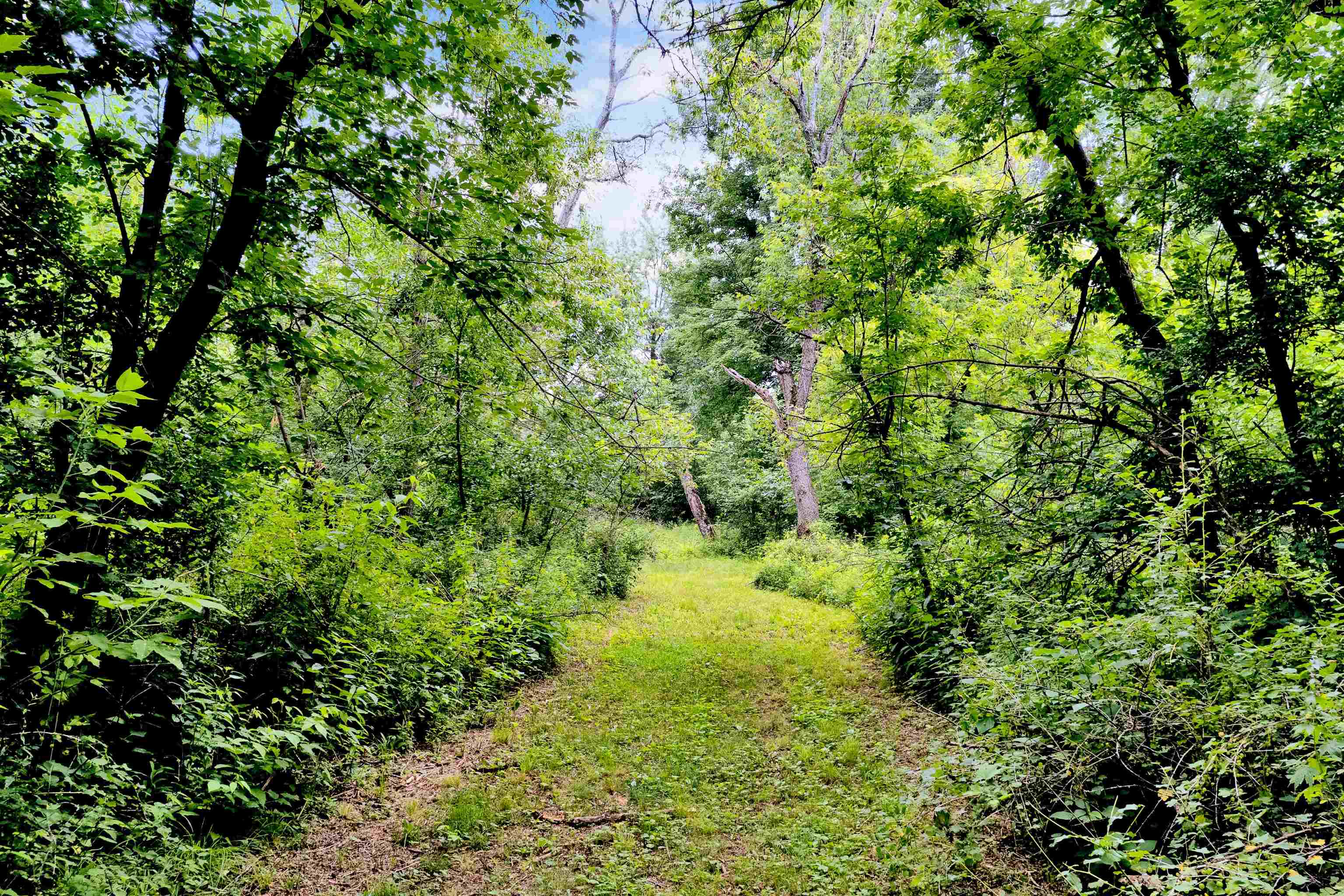 16 acres mol OLE RIVER ROAD, Stevens Point, Wisconsin 54481, ,Land,For Sale,16 acres mol OLE RIVER ROAD,22203505