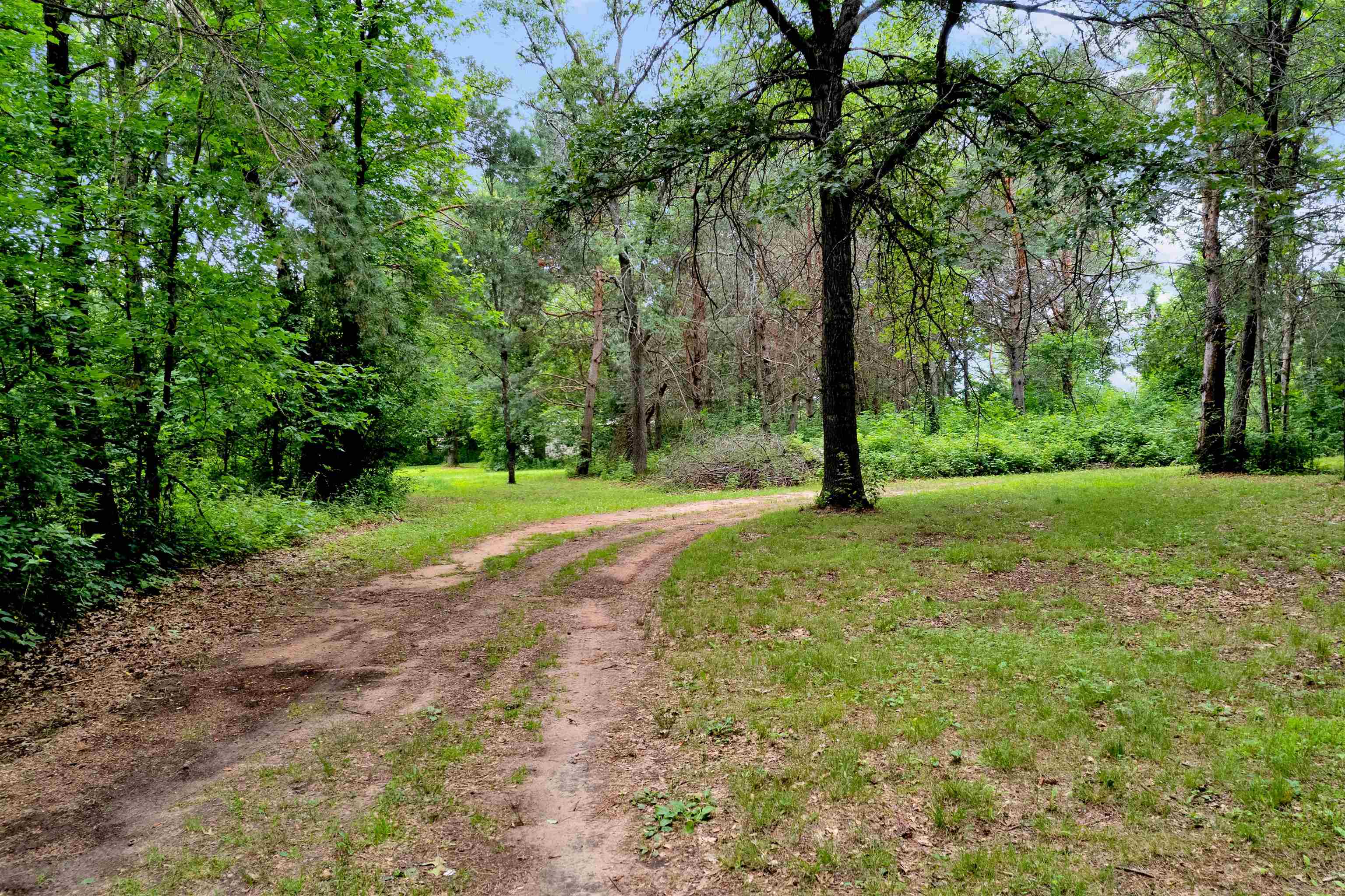 16 acres mol OLE RIVER ROAD, Stevens Point, Wisconsin 54481, ,Land,For Sale,16 acres mol OLE RIVER ROAD,22203505