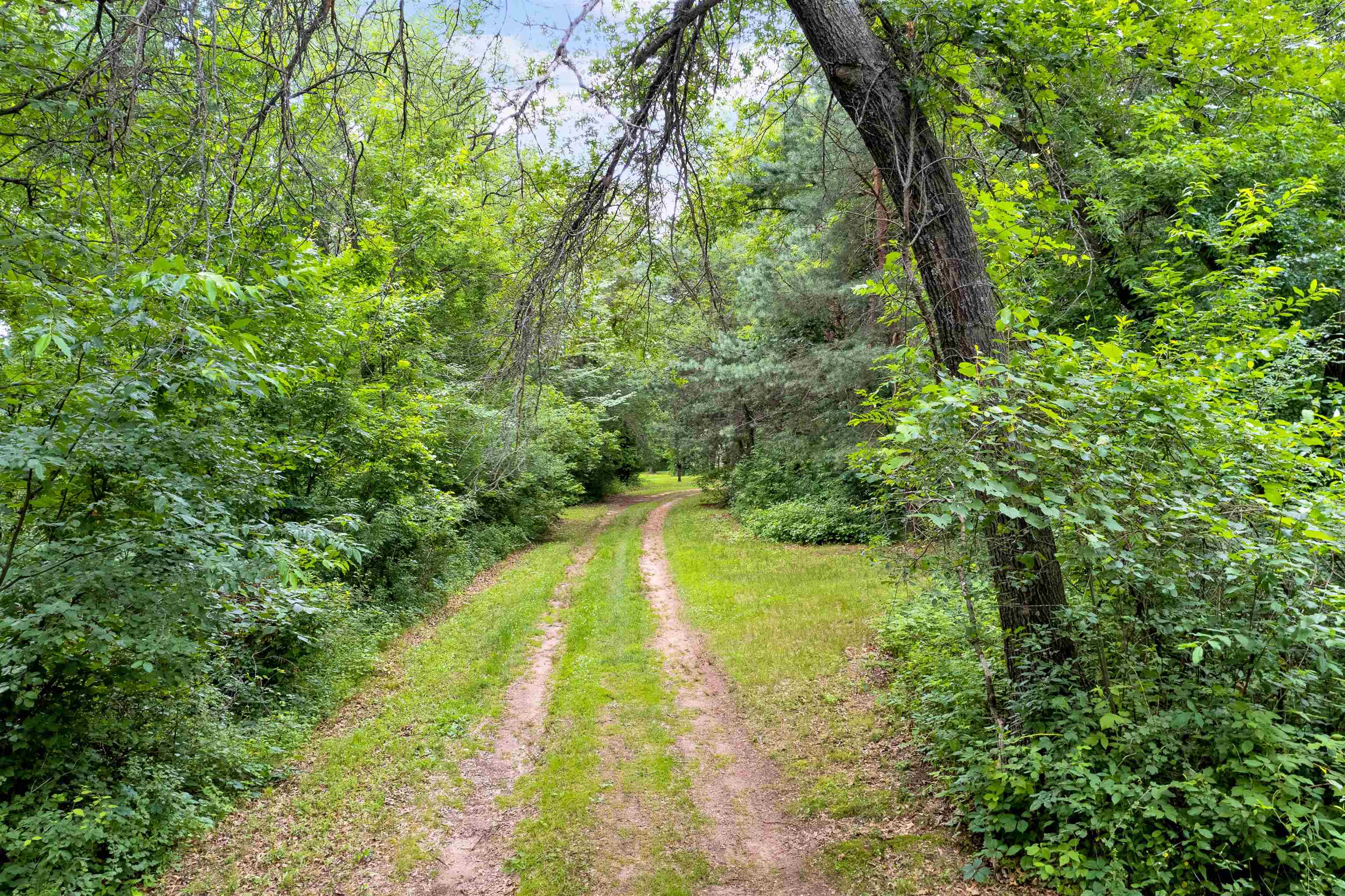 16 acres mol OLE RIVER ROAD, Stevens Point, Wisconsin 54481, ,Land,For Sale,16 acres mol OLE RIVER ROAD,22203505